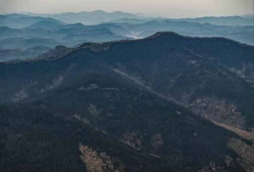БНСУ-ын Гёнбуг бүсийн зүүн хойд хэсэгт гарсан түймрийг бүрэн унтрааж дууслаа